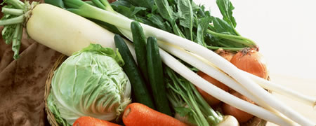 種類色々な野菜をたくさん使用